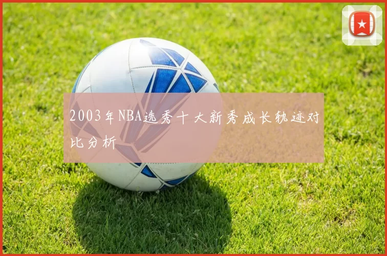 2003年NBA选秀十大新秀成长轨迹对比分析