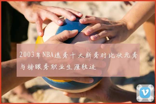 2003年NBA选秀十大新秀对比状元秀与榜眼秀职业生涯轨迹