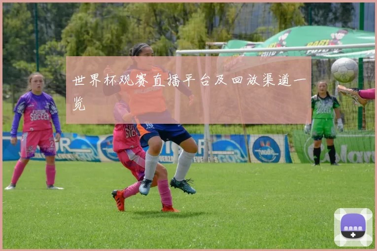 世界杯观赛直播平台及回放渠道一览