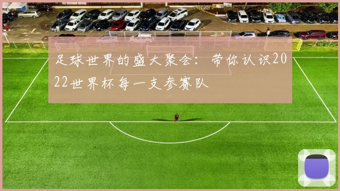 足球世界的盛大聚会:带你认识2022世界杯每一支参赛队