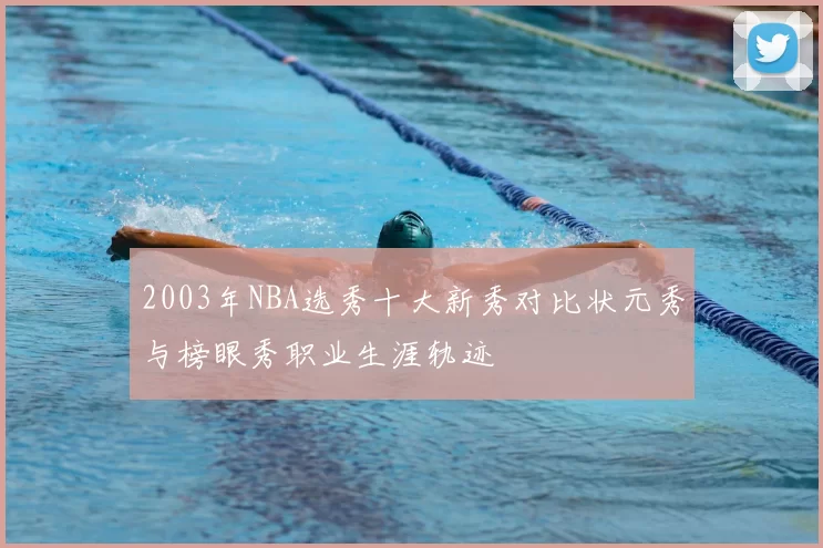2003年NBA选秀十大新秀对比状元秀与榜眼秀职业生涯轨迹