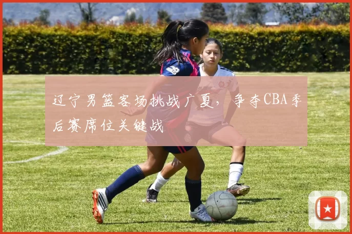 辽宁男篮客场挑战广夏，争夺CBA季后赛席位关键战