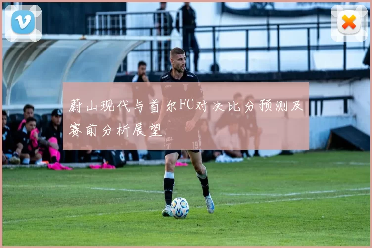 蔚山现代与首尔FC对决比分预测及赛前分析展望