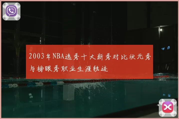 2003年NBA选秀十大新秀对比状元秀与榜眼秀职业生涯轨迹