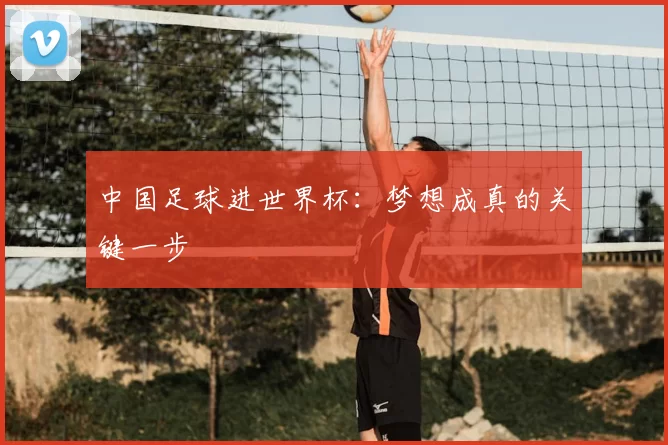 中国足球进世界杯：梦想成真的关键一步