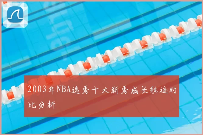 2003年NBA选秀十大新秀成长轨迹对比分析