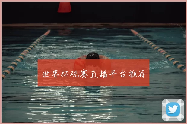 世界杯观赛直播平台推荐