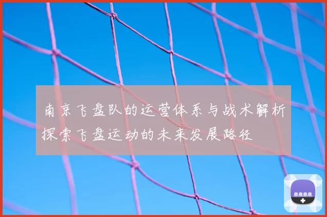 南京飞盘队的运营体系与战术解析探索飞盘运动的未来发展路径