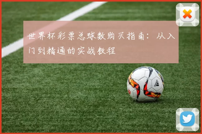世界杯彩票总球数购买指南：从入门到精通的实战教程