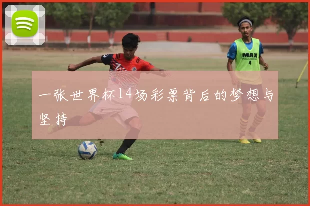 一张世界杯14场彩票背后的梦想与坚持